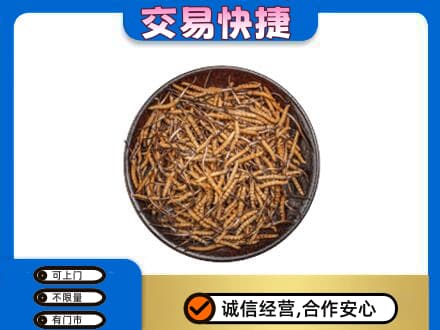 青岛市城阳高价回收散虫草
